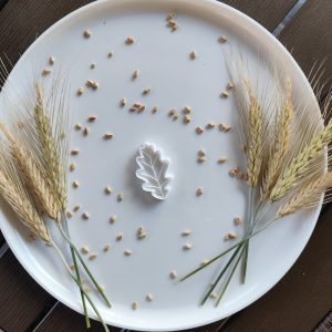 List hrasta modla za kolače sa utiskivačem