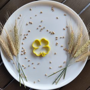 Detelina sa četiri lista modla za kolače sekač